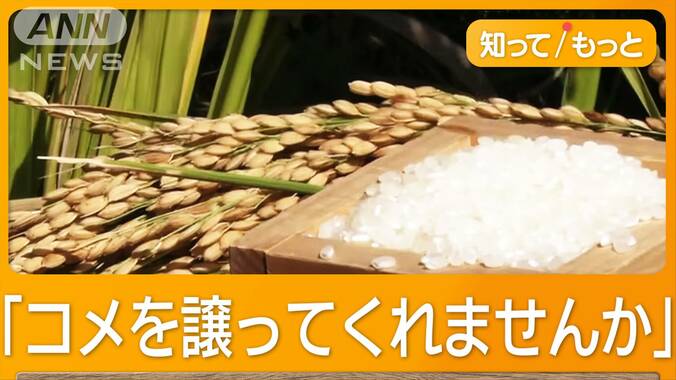 コメ5キロ3000円高止まり　品薄解消しても「青田買い」　小売り＆外食が確保前倒し 1枚目