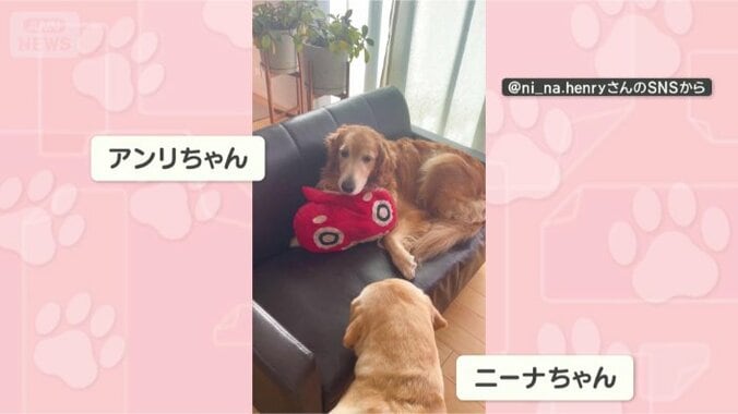 あ！ソファにスペース発見