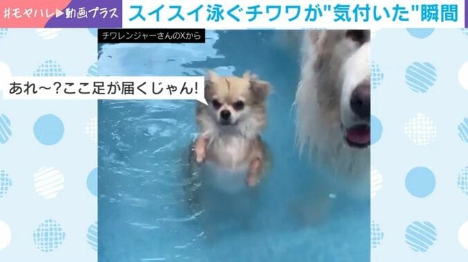 ジャーマンくん