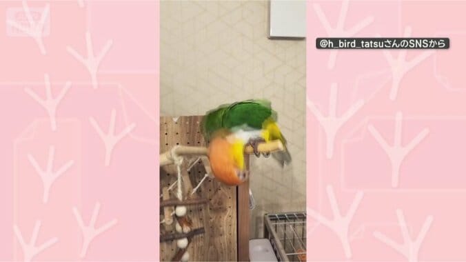 ぐるぐる大回転