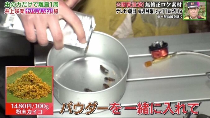 井上咲楽、カブトムシは「公衆トイレの臭い」虫だけ食べて3泊4日…脱走したゴキブリを捕獲！ 5枚目