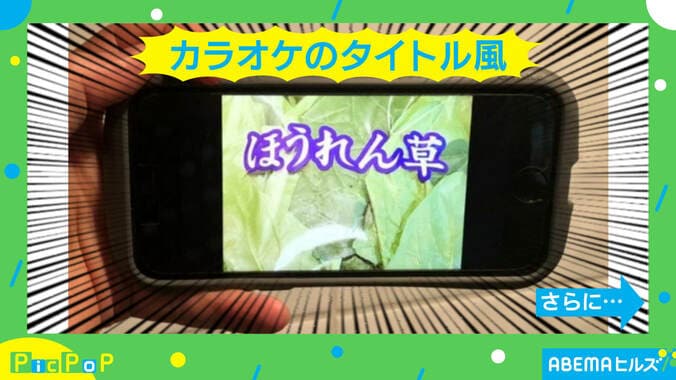 「もうそれにしか見えない…」野菜のパッケージが“カラオケ映像”にそっくり！ 投稿主を取材 2枚目