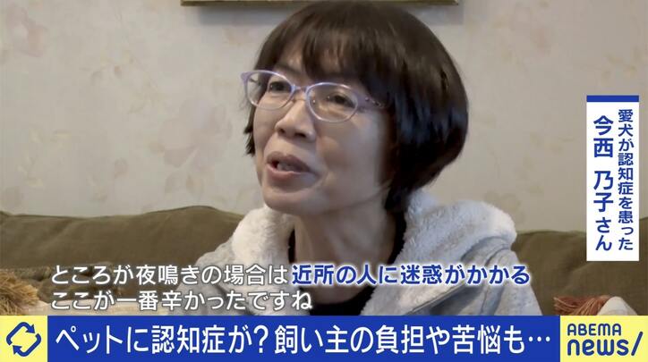 ペットの“認知症”予防と対策は?「安楽死」を選択する人も…介護&看取った当事者に聞く「恩返しする最後のチャンス」