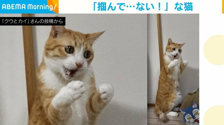 【写真・画像】　2枚目