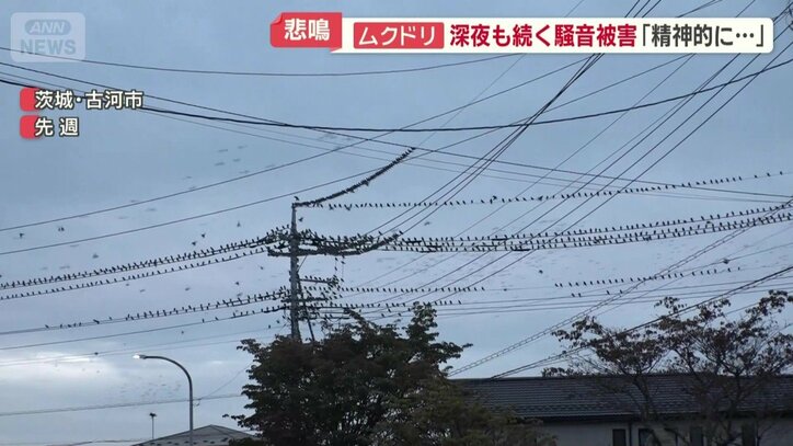 去年にはなかった光景