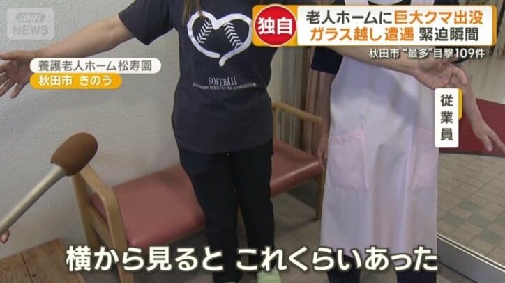 目撃されたクマは体格がよかった