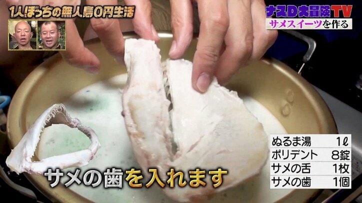 サメの汚れに効くのは入れ歯洗浄剤のポリデント？ ナスD「これでしつこい汚れを一網打尽です」