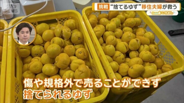 傷や規格外のゆずを活用