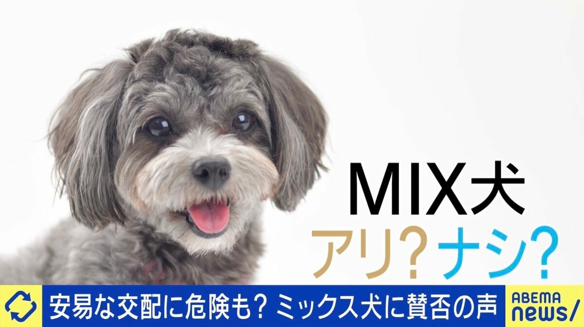 人間の都合で生み出される“ミックス犬”に賛否の声…安易な交配はリスク