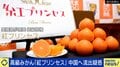 開発に17年かけた高級みかん「紅プリンセス」海外流出か…取り締まり困難な事態にひろゆき氏「品種より産地で戦う方がいい」最後は味で勝負か