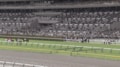 「涙止まらん」競走馬時代から活躍の“イケメン細マッチョ”誘導馬が引退 首元には“粋な飾り”も…ファン感謝と労いの声「ありがとう」