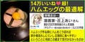 きっかけは“あつ森”?「ギルティ」作者・丘上あい氏の最適な「ハムエッグの作り方」に反響
