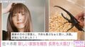 佐々木希、ヘラクレスオオカブトを“家族”に迎えたことを報告「子供も喜ぶなぁと思い…決意」