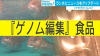 「ゲノム編集食品」が10月から解禁