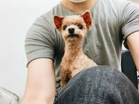 水嶋ヒロ『アオラキダウン』