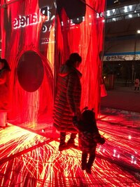 高橋真麻『健康番組』