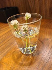 小原正子『花☆』