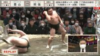 【動画】ドヤ顔の照強
