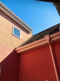 堀ちえみ『今朝の朝ごはんです！』