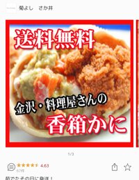 高橋真麻『ショック!(꒪╻꒪|||)』