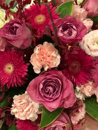 戸田恵子『ろくじゅうにさい！』