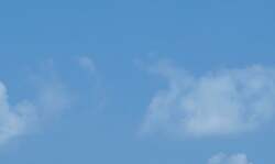 かずママさん、 病気になる前のようだった夫の姿「あまりにも衝撃的な病名を聞いて…私は頭の中がパニック」 