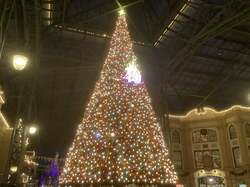  金子恵美、平日とは思えない様子だったTDL「恐れ入りました」 