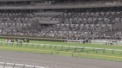 「涙止まらん」競走馬時代から活躍の“イケメン細マッチョ”誘導馬が引退 首元には“粋な飾り”も…ファン感謝と労いの声「ありがとう」