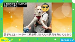 勇気を分けてあげたい！ 苦手なエレベーターに乗るワンちゃんの姿に「わたしの手を是非使って」「みんないるから大丈夫」と激励の声