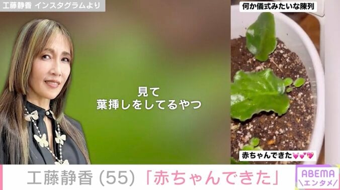 【写真・画像】自宅の庭が話題・工藤静香（55）「赤ちゃんできた」植物の変化に大興奮　2枚目