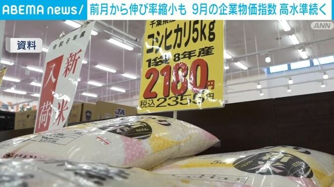 売り場に陳列されているコメ（資料より）