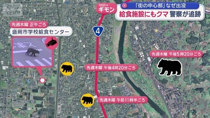クマの目撃情報