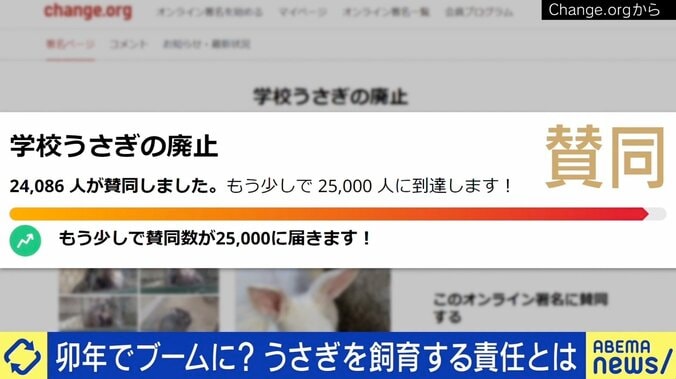 「“犬や猫より安いから”と安易に」卯年に過剰ブーム？ うさぎの学校飼育廃止を求める署名も 3枚目