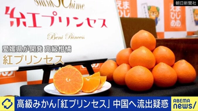 紅プリンセス