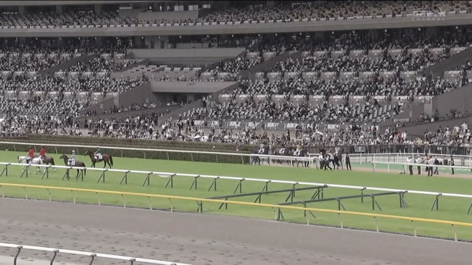 【映像】「涙止まらん」引退を迎えた“イケメン細マッチョ”誘導馬