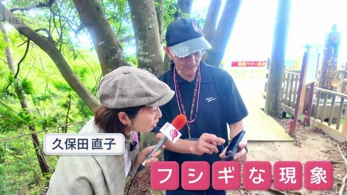 参拝者が目撃したフシギな現象