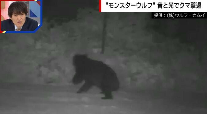 モンスターウルフに驚いたクマが一目散に逃げだす瞬間