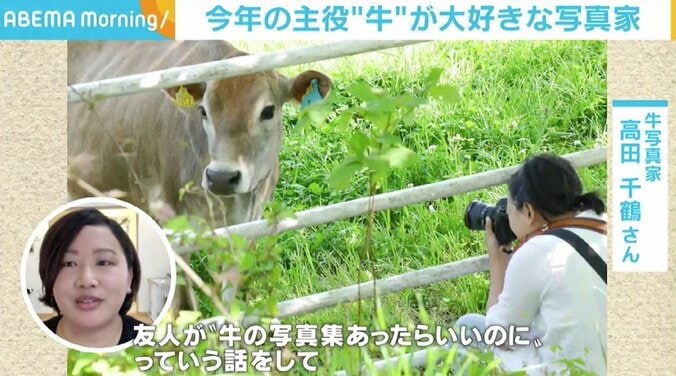 「癒しをくれる動物。今年は注目されるといいな」 写真家・高田千鶴が“牛”にこだわる理由 3枚目