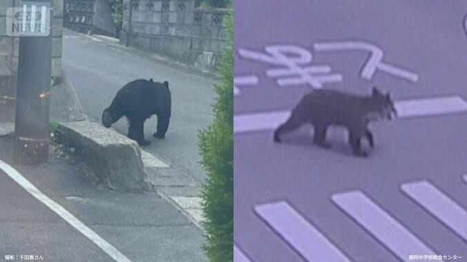 「街の中心部」なぜクマ出没　何を求めて幼稚園や給食施設に？ 1枚目