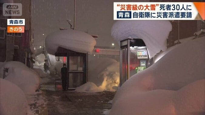 電話ボックスやバス停の屋根にも大量の積雪
