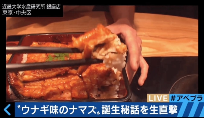 土用の丑の日は”ウナギ味のナマズ”　近畿大が食文化に革命を 3枚目