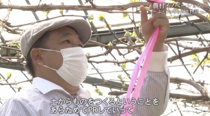 世界に名を馳せる“ぶどうの町”にするために…農家になる運命を背負った男性が、人生をかけて挑む“地域再生”
