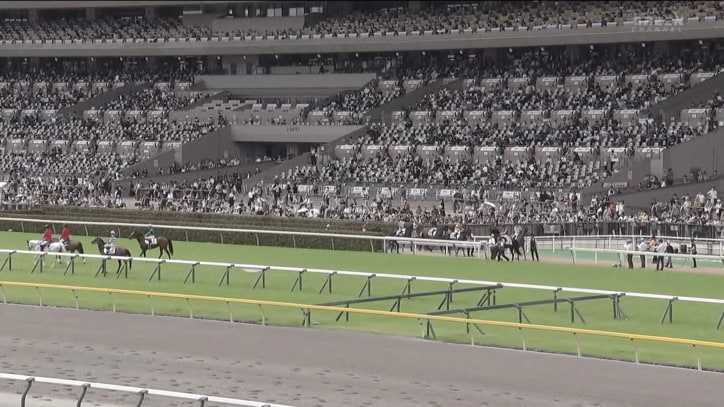 【映像】「涙止まらん」引退を迎えた“イケメン細マッチョ”誘導馬