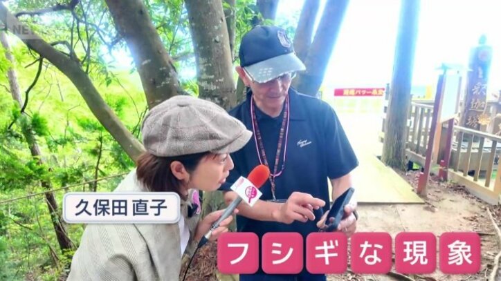 参拝者が目撃したフシギな現象