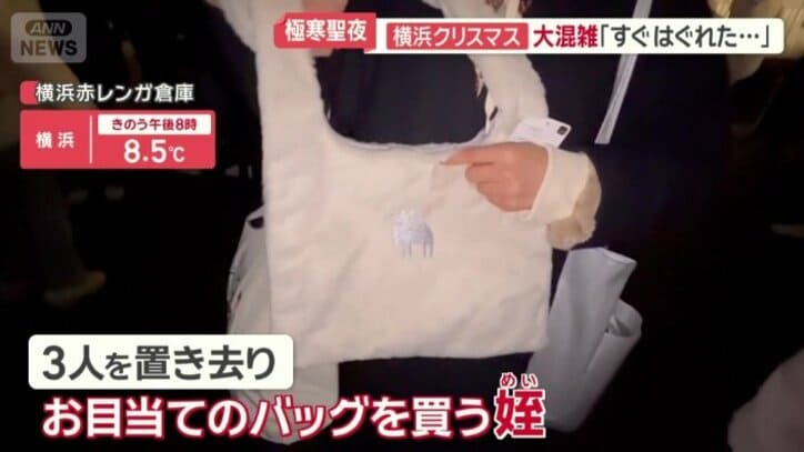 バッグを買いに行っていた姪