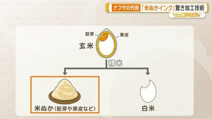 コメぬかの約20％が油分