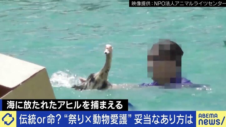 祭りに「時代に合わない」「動物虐待」の批判 伝統継承のためアップデートは必要?