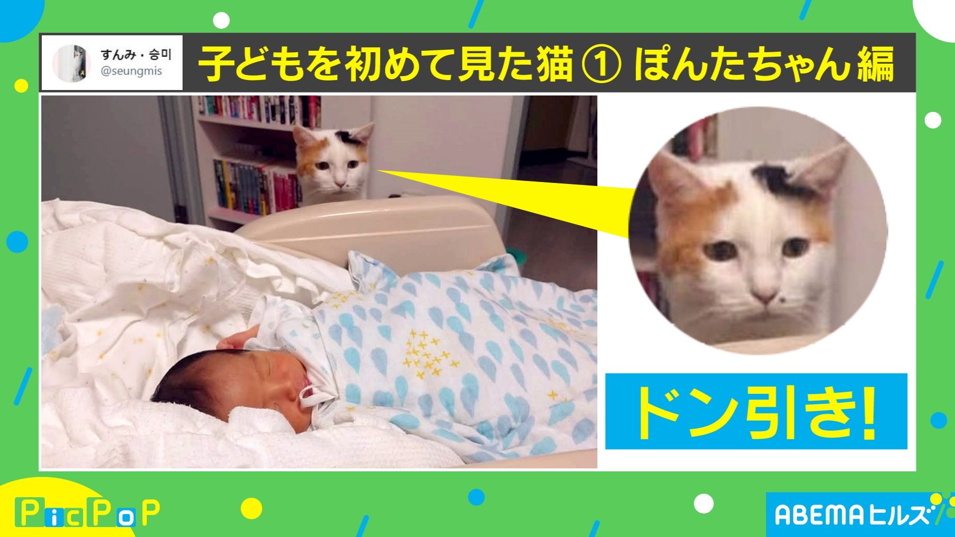 未知との遭遇 赤ちゃんと初対面した猫の反応がtwitterで話題 なんとも味のある表情 Abematimes Goo ニュース