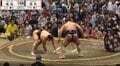 綱取り霧島が「手付いちゃった」 高安“必殺の動き”で大関撃破「仰け反りましたよね」芝田山親方も称賛