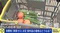 「食料品の消費税1％」の先にある「給付付き税額控除」2年後、1％から8％の“再増税”に耐えられるのか 自民議員「増税分を上回る形で中低所得層をカバーする」